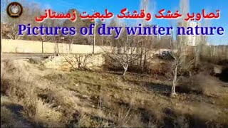 Pictures of dry winter nature ???????تصاویر خشک و قشنگ طبعیت زمستانی/Ali Haidari