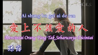 Ai Shang Bu Gai Ai De Ren 愛上不該愛的人 [Mencintai Orang Yang Tak Seharusnya Dicintai] 孫露