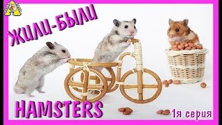 Сериал ЖИЛИ БЫЛИ ХОМКИ - 1я серия / КТО У НАС ЖИВЕТ / Все мои хомкяки / Alisa Easy и хомяки Сериал ЖИЛИ БЫЛИ ХОМКИ - 1я серия / КТО У НАС ЖИВЕТ / Все мои хомкяки / Alisa Easy и хомяки