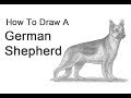 How to Draw a German Shepherd Dog