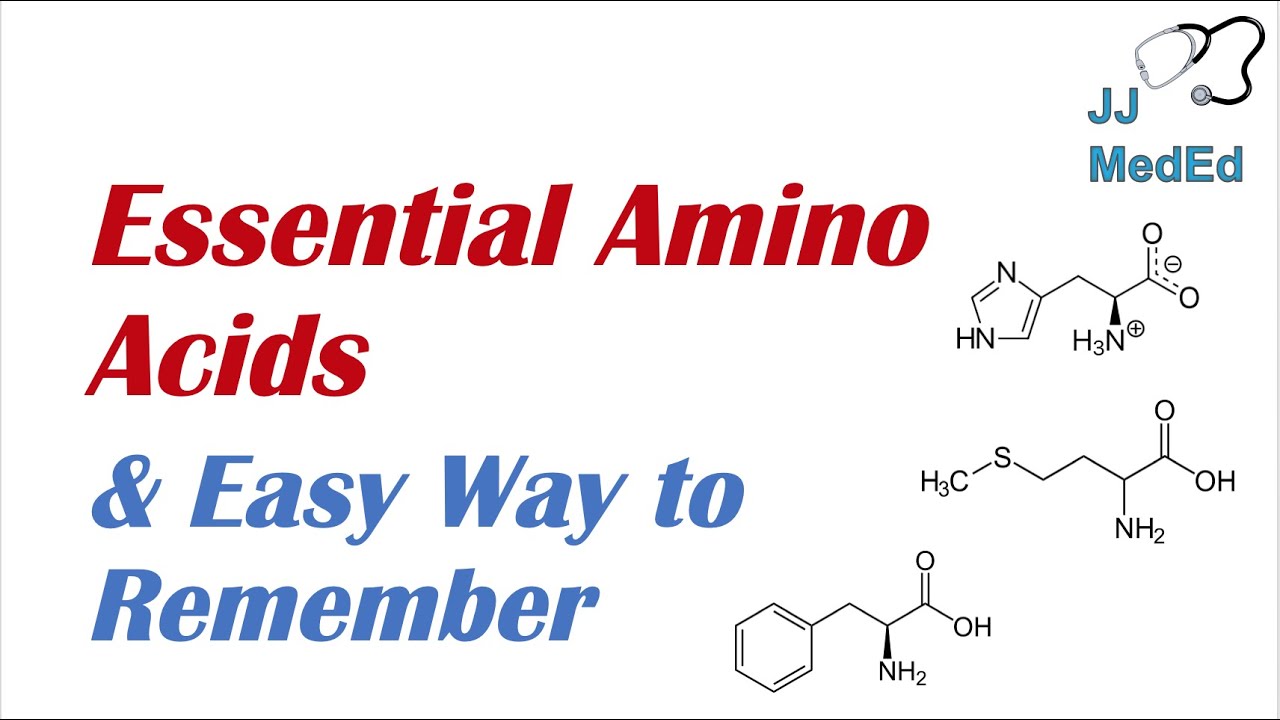 Essential Amino Acids Mnemonic And Easy Way To Remember YouTube