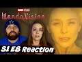 WandaVision Episode 8 "Previously On" *EMOTIONAL* Reaction & Review!