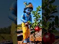 “Train Mein Baitha Bal Krishna – Ek Pyari Aur Adbhut Yatra 🙏💙”
