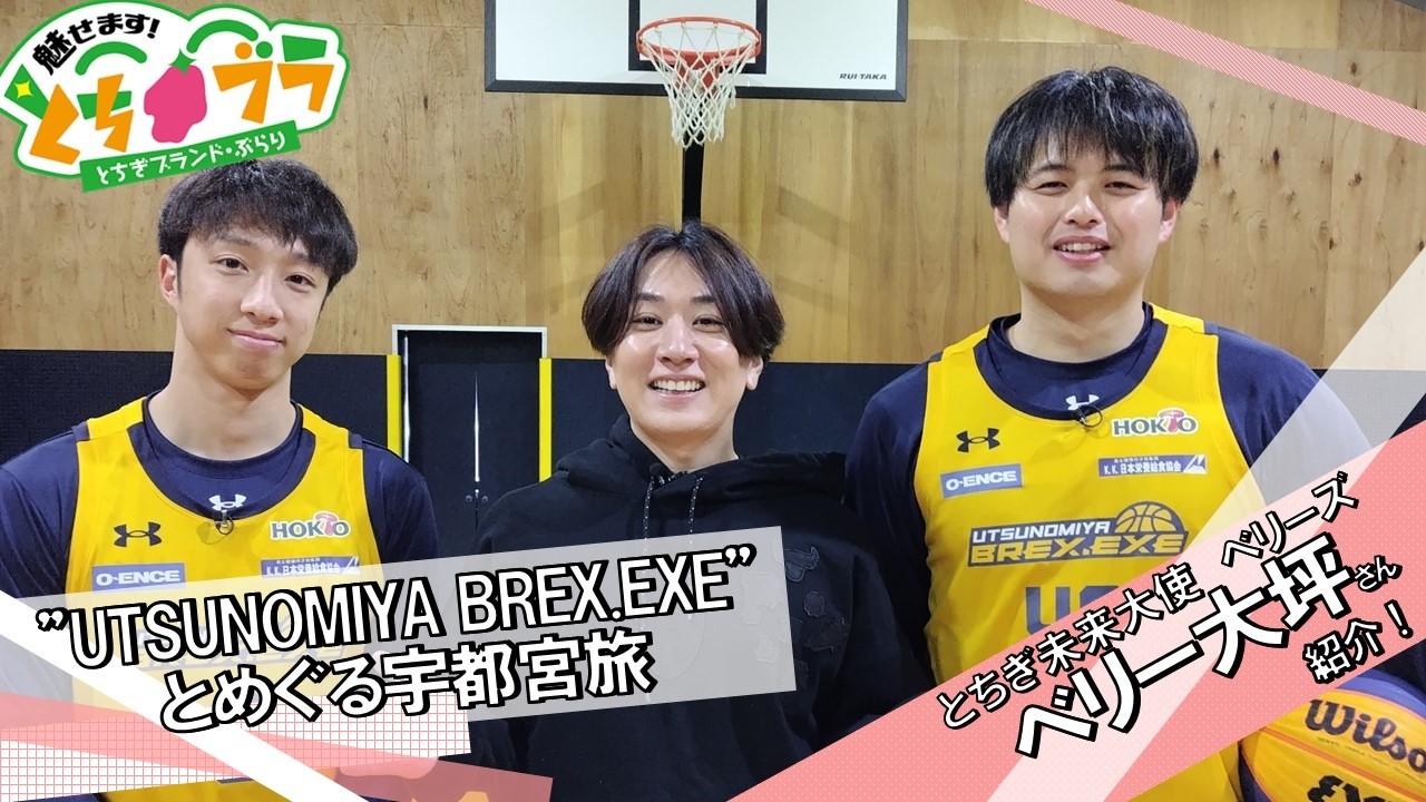 とちブラ 2026 #1】UTSUNOMIYA BREX.EXEとめぐる宇都宮旅（#ベリー大坪