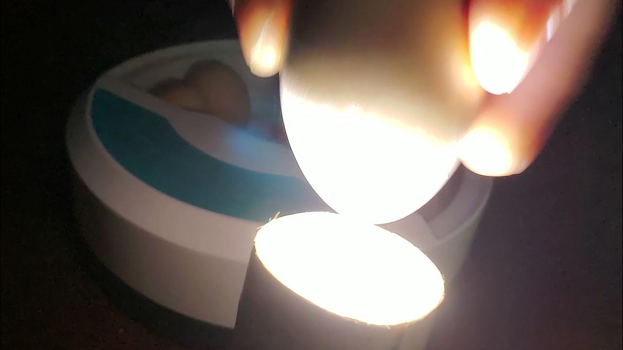 Day 15 Of Incubation Process Candling Chicken Eggs Incubating