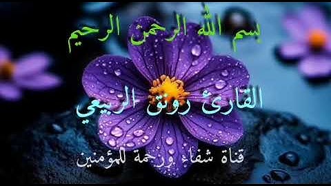 القارئ رونق الربيعي