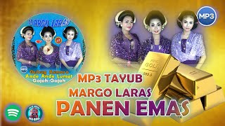 mp3 tayub margo laras lamongan wariati terbaru