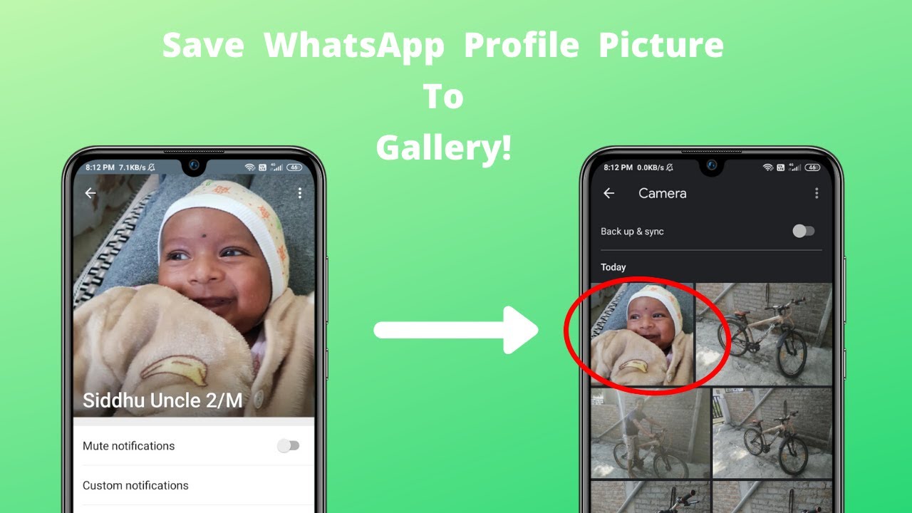 How To Save WhatsApp Profile Picture | WhatsApp Profile Picture To ...