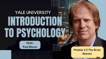 2.3 Neurons: The Building Blocks of the Brain Explained