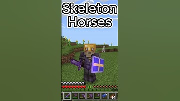 Minecraft Skeleton Horses