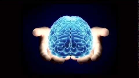 An Introduction to Knowledge Management