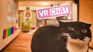 Maxwell's Adventures in VRChat