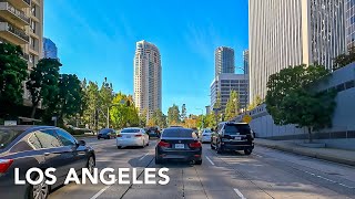 Driving Beverly Hills to Santa Monica by omw 4,547 views 7 months ago 36 minutes