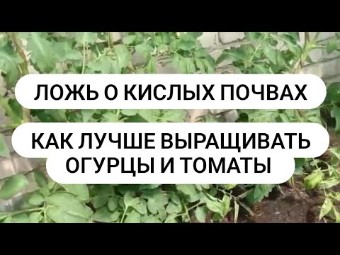 Как лучше выращивать