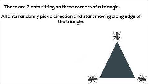 3 ants and a triangle
