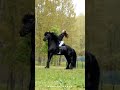 Super Move Girl With Horse حرکت فوق العاده دختر با اسب Horse Animals Girl Sexy دختر حصان Super Move Girl With Horse حرکت فوق العاده دختر با اسب Horse Animals Girl Sexy دختر حصان