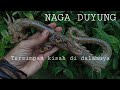 Golok/Pisau Ukiran NAGA mirip keris pusaka buatan pengrajin di desa Cisontrol, Ciamis.