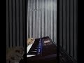 My Piano Soul with style Music #keyboard #piano #music #instrumental #style #fypシ #viral #reels
