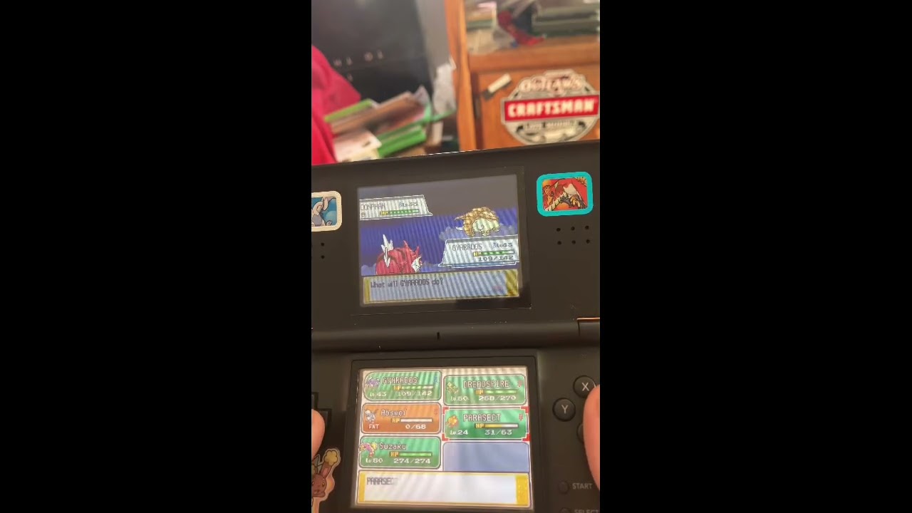 First ever wild shiny encounter        #shinypokemon  #pokemonheartgold 