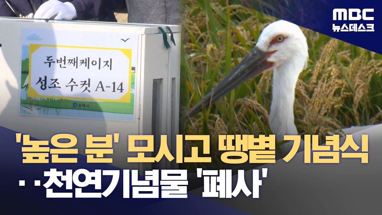 기념식한다고 땡볕에‥새장 열자 '천연기념물' 황새 그대로 폐사 (2025.10.17/뉴스데스크/MBC)