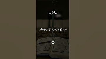 يا أيها الذين امنوا توبوا اللى الله توبة نصوحا || ماهر المعيقلي من سورة التحريم