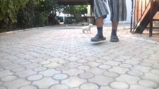 WP 20140703 005