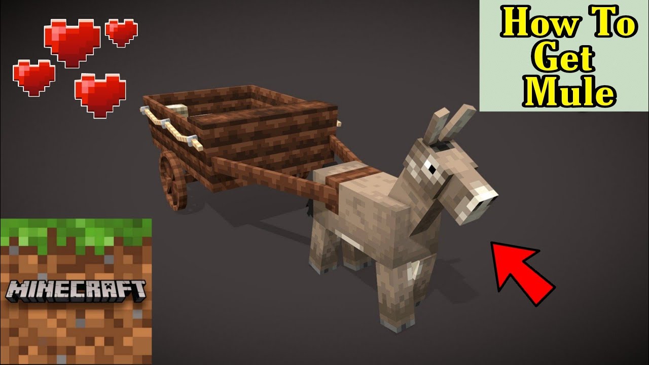 How To Get Mule In Minecraft PE | How To Breed Horses And Donkeys In