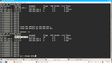 Change the default gateway in linux