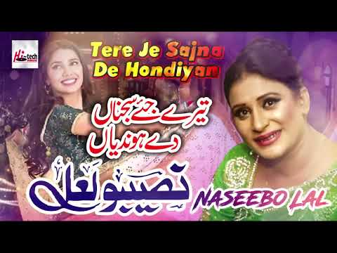 Tere Je Sajna De Best Of Naseebo Lal HI TECH MUSIC 