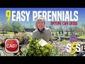 9 easy beautiful perennials that anyone can grow