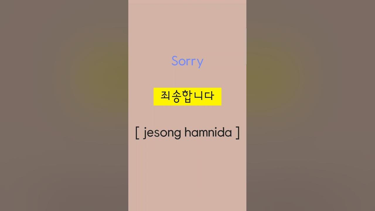 How to say SORRY in Korean learnkorean YouTube