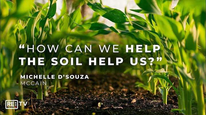 How Scientists Are Decoding The Hidden Life Of Soil