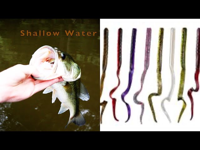 Fishing Ribbon Tail Worms for Early Fall Bass (Working man Special