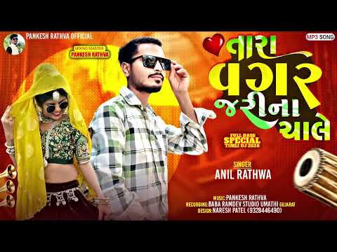 Tara vagar jarina cale ll તારા વગર જરીના ચાલે ll Singer Anil rathva new timli 2026