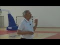 Svetislav Pesic  Tranzicija U Napadu