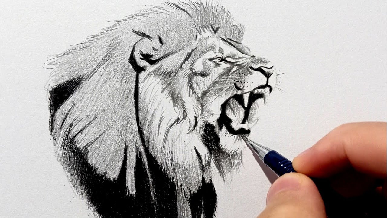 How to Draw a Lion for Beginners | Beginner Pencil Tutorial (Step-by-Step)