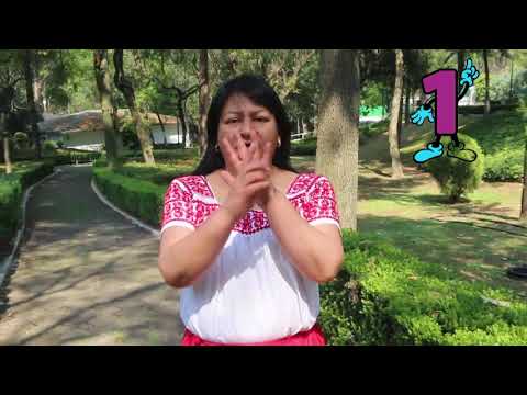 ¡Aprende los números en Mexikatlahtolli (náhuatl)!
