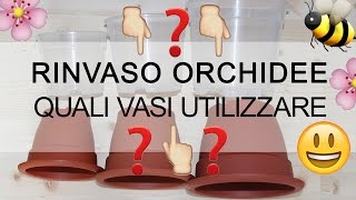 Rinvaso Orchidee - Quali vasi utilizzare & il MITO sul vaso trasparente