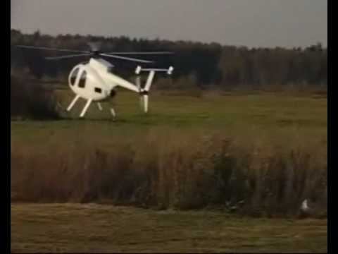 Video: Kas hirved kuulevad ultraheli heli?