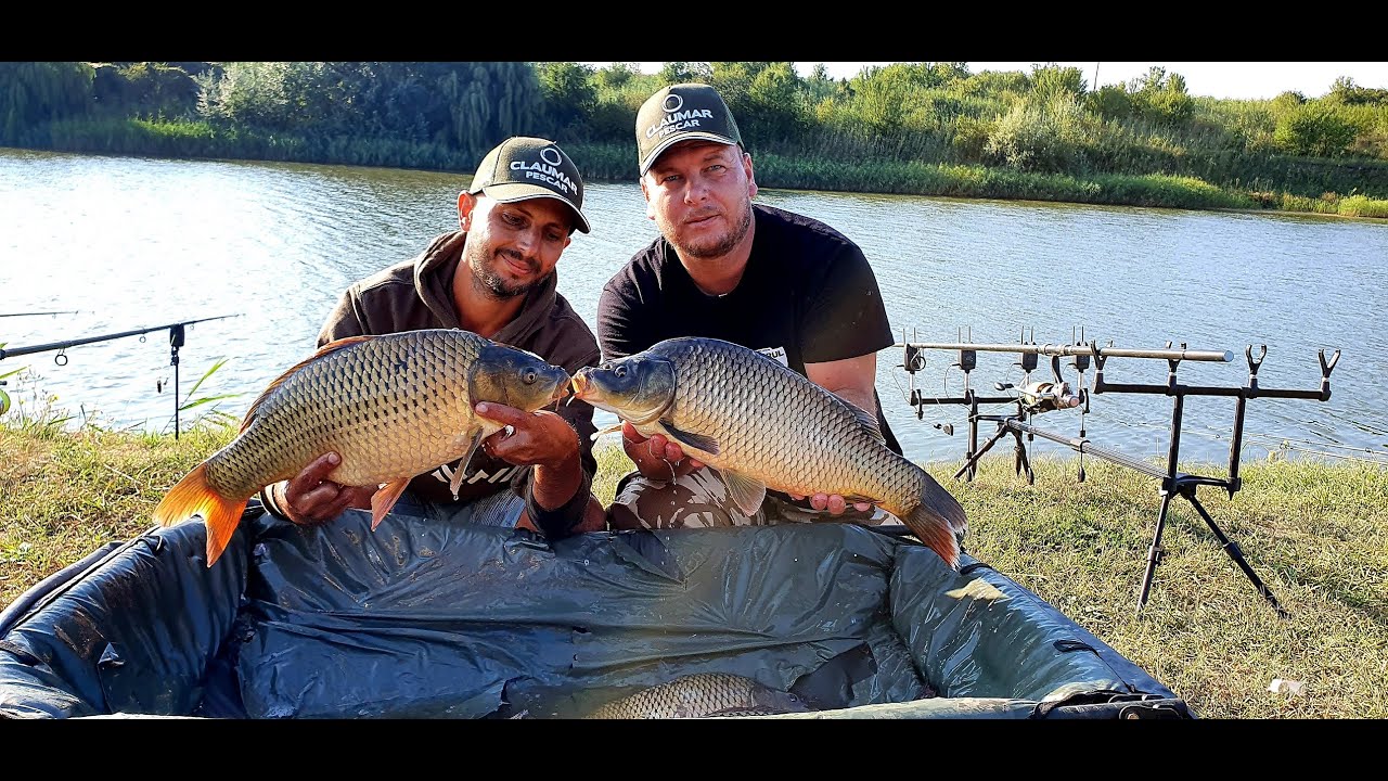 12🎣Pescar din Pasiune - Revenim cu drag pe Balta Comana Mare Ialomita 🎣🎣🎣🐠🐟