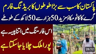 Biggest Parrot breeding Farm In Pakistan with unbelievable business