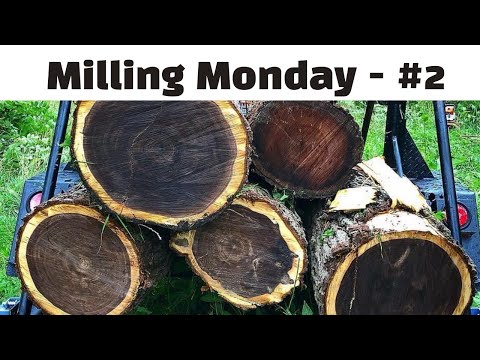 Milling Monday #2 |  “How thick should I cut my slabs?