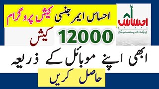 12000 Cash | Ehsaas Emergency Cash Program |Ehsaas Cash Program screenshot 2