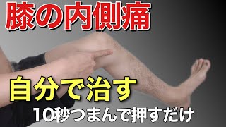 膝の内側の痛みを治すには筋膜リリースをやりましょう！自分で膝の痛みを改善