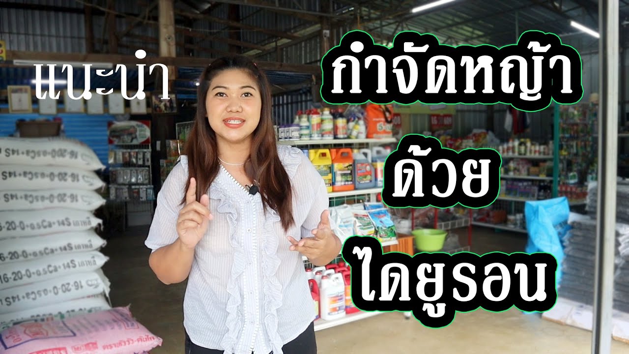 ฆ่าหญ้าด้วย ไดยูรอน กำจัดหญ้าใน อ้อย สับปะรด มันสำปะหลัง(อัพเดต)