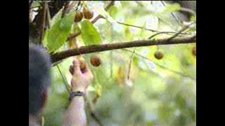 Download lagu Globaltv Gudang Garam Gold 22 56 (17/2)