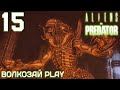 Aliens versus Predator 2010. Прохождение за хищника ─ Часть 15: Отродье. Финал