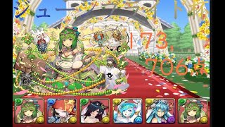 【パズドラ】ランキングダンジョンジューンブライド杯で173,706点！！