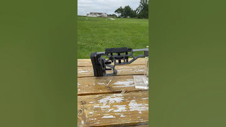 Love it or Hate it? SAVAGE ARMS IMPULSE ELITE PRECISION .308 WIN 26″ BARREL 10 ROUNDS