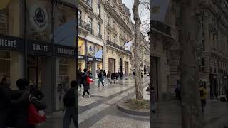 🇫🇷 Paris - Champs-Élysées #paris #france #champsélysées #caronavirtual